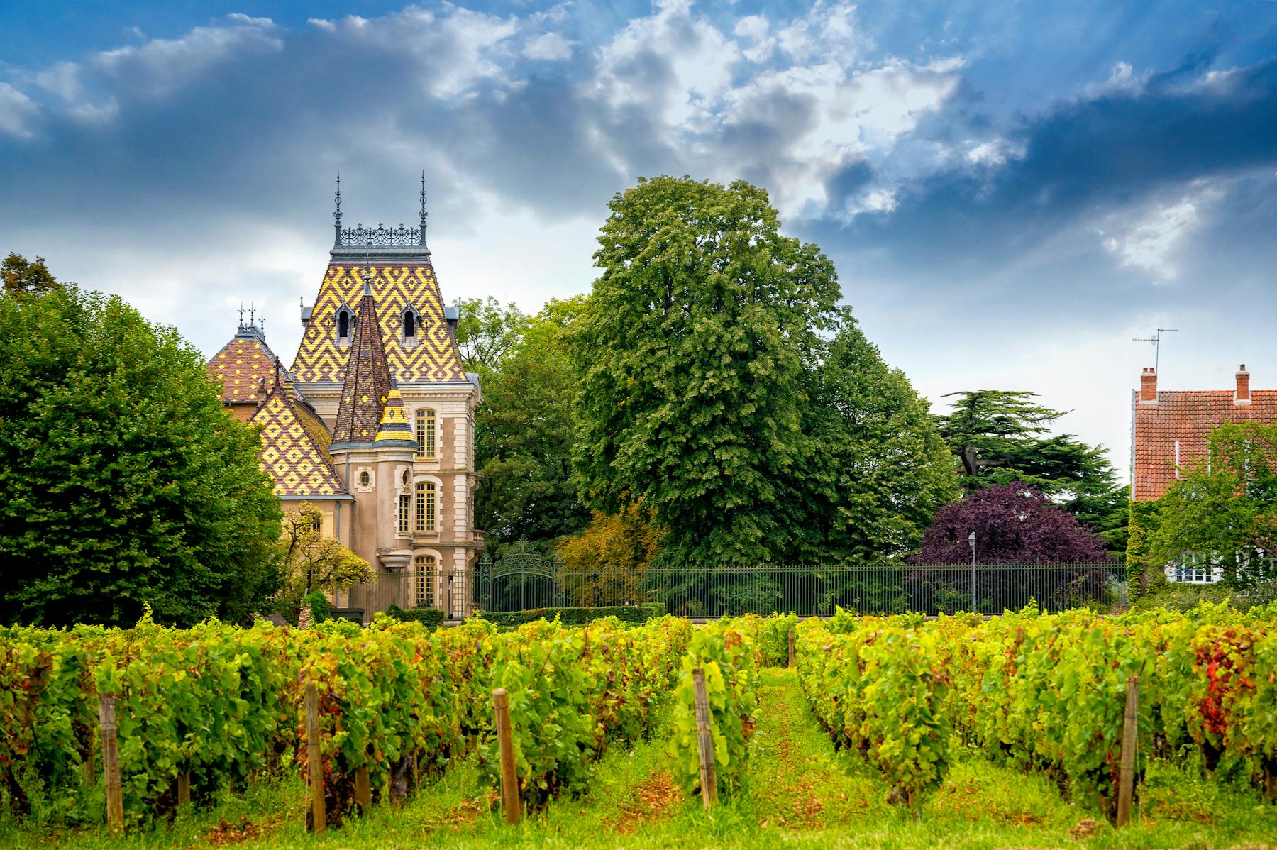 Nos nouveautés vins de Bourgogne l U’wine